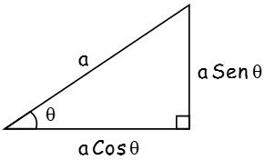 Conclusión de longitud de la hipotenusa y un ángulo agudo